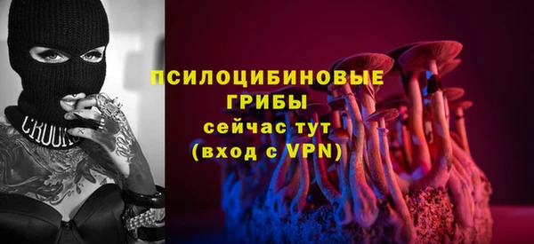 героин Алексин