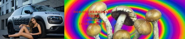 героин Алексин