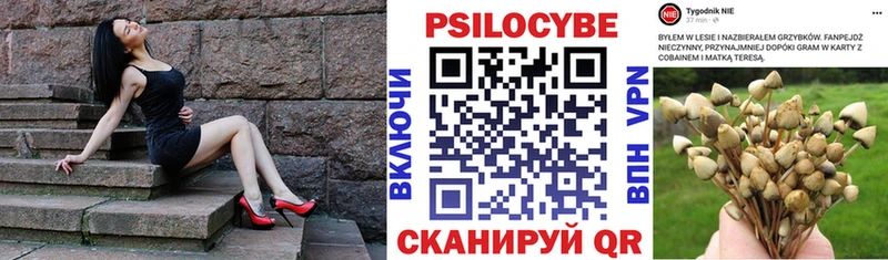 Галлюциногенные грибы Magic Shrooms  сколько стоит  Курск 