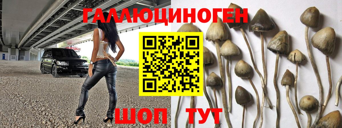 Псилоцибиновые грибы мухоморы Курск